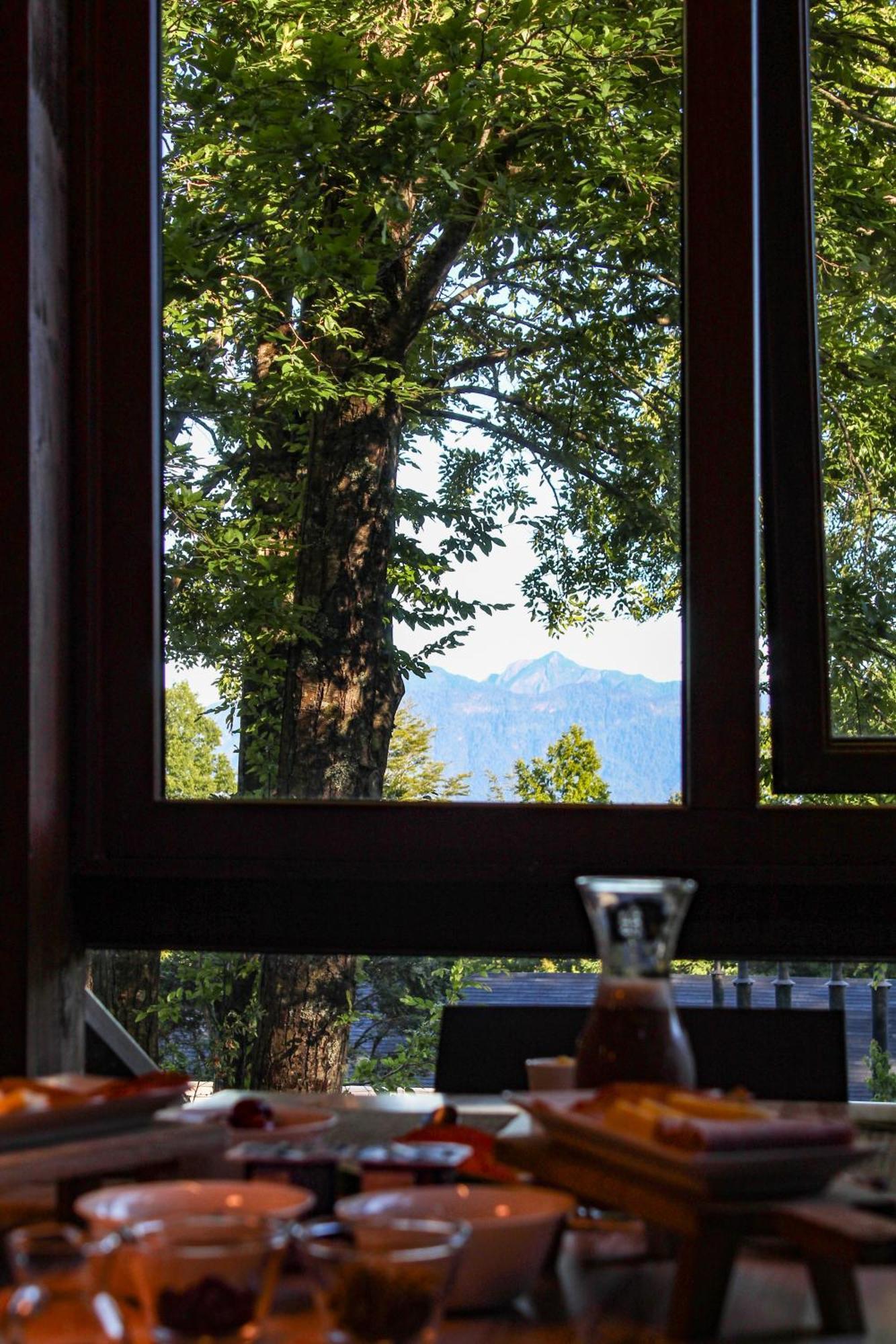 Ni-Newen Hotel & Lodge Pucon Exterior photo